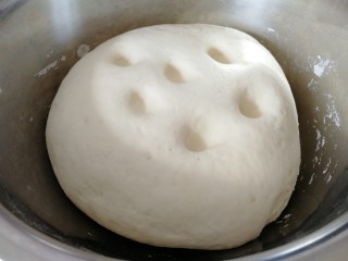 3、家庭版&荷叶肉夹馍,发酵好的面（如图）