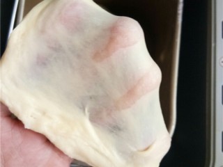 4、葡萄干小餐包,继续揉至出光滑手套膜。