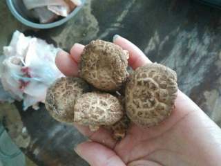 7、菊花捶鱼,干花菇洗净后用温水浸泡,泡好后切片备用,香菇水留用