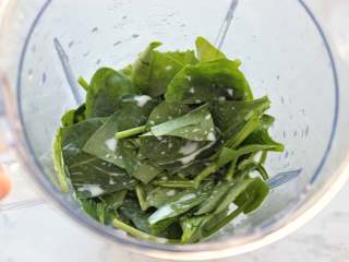 2、奶油菠菜蘑菇意面,菠菜洗净后切成小段，放入料理机搅拌杯内，再加入牛奶