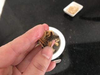 3、淡菜瑶柱排骨粥～健康养生靓粥,淡菜泡软后，把中间心里面那一小撮毛球拔掉