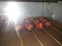 7、培根番茄卷,预热250度，220度烤6分钟，拿出来翻个面再烤6分钟