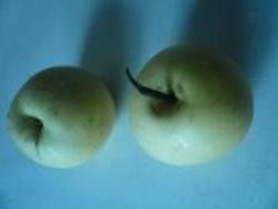 1、冰糖雪梨,1.梨两个，洗净。