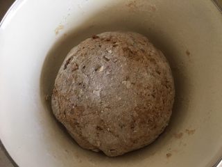 10、枣馒头,揉成面团 如果面硬可以添水