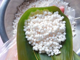 9、蜜枣西米粽子,再加入2/3的西米，用勺子轻轻压实；