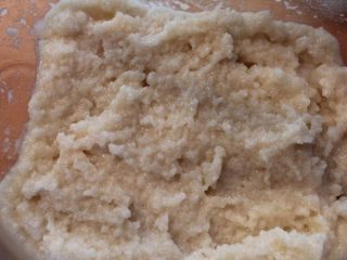 13、#咸味＃+塩麴製作,一般酵种发酵到产生稠度，像这样米粒完全分解化掉后，就完成了。