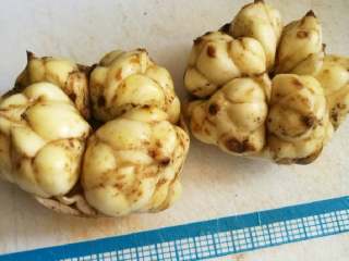 1、凉拌百合,新鲜百合两个，约250克。