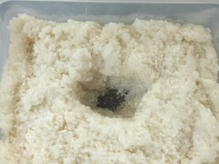 7、甜酒酿--家庭简单版,铺好所有糯米饭，再把剩余的酒药撒上最上面，再用饭勺挖一个坑！