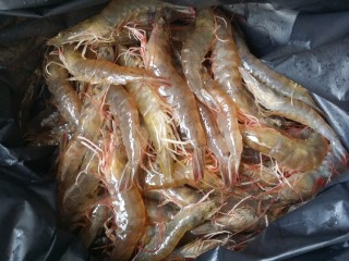 1、营养虾仁健康水果沙拉,新鲜海虾买回家，洗净。