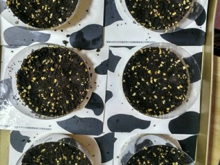 2、好吃到爆的七层牛乳蛋糕（改良版）,奥利奥脆底（第二层）:将奥利奥碎花生碎与液化黄油拌匀即可