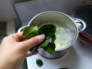 4、泰国冬阴功汤,柠檬叶子放入煮沸的锅里煮。柠檬叶子的味道特别香。但是要撕开。味道才全部出来。