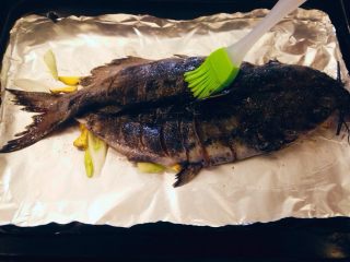11、香辣烤鱼,将铝箔折成盘状，中间刷上色拉油放入烤盘，腌制好的鱼倒掉渗出的水，将葱姜丝取出码放在铝箔上，然后将鱼背向上平铺在铝铂盘内，撒上孜然粉，花椒面，鱼背刷一层色拉油。