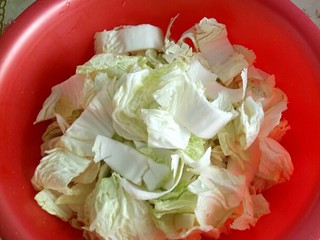 1、韩式辣白菜,首先把洗干净的白菜控干水份适当大小的块状。