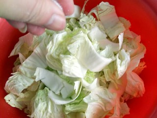 2、韩式辣白菜,接下来我们来腌制白菜，在白菜上面撒入适量的盐，大概8克左右，翻拌几下，更有助于白菜去除水份，做出来的辣白菜更有味道。然后放到冰箱里面腌制至少24小时。在此过程中要记得每隔几个小时翻一翻白菜。