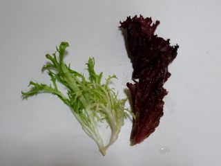 4、家庭装三明治,叶菜类洗净去掉根部