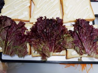 10、家庭装三明治,生菜摘去根部，修成和吐司片差不多大小的铺在上面