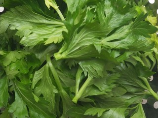 1、健康营养芹菜叶醋拌木耳,买一把芹菜，摘下的芹菜叶不要丢弃哟，营养大大的。