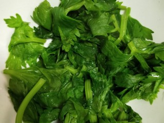 5、健康营养芹菜叶醋拌木耳,焯烫15秒左右捞出过一下凉白开，或者平摊开。