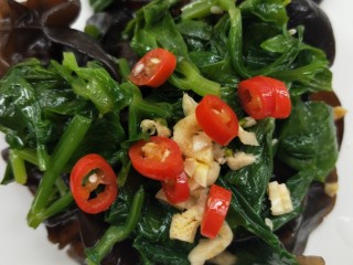 13、健康营养芹菜叶醋拌木耳,放红椒粒。