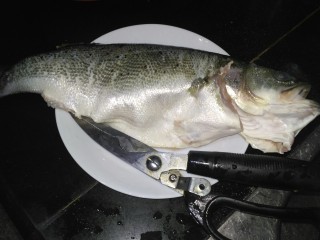 1、柠檬烤鲈鱼,鲈鱼洗净去翅