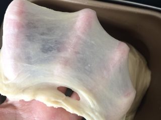 9、香葱肉松面包卷(65度汤种法),面团状态达到接近完全扩展状态就好