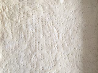 15、香葱肉松面包卷(65度汤种法),表面用叉子戳点小孔,以防后期烤的时候鼓起来,放进发酵箱继续二发,二发温度36-38度,我用的37度85%发了35分钟