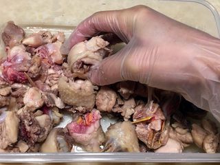 4、家庭版三杯鸡,加入2.5克盐入鸡块揉搓入味