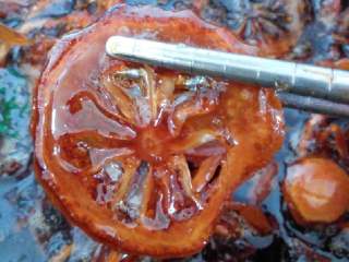 5、冰糖炖柠檬#健康美颜餐#,10小时以后，看状态，如果汤汁有点浓稠就可以了！