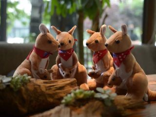 4、舌尖上的G20--澳洲站精彩回顾,可爱的袋鼠小礼品