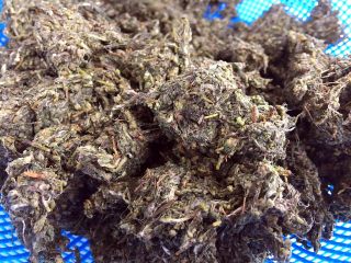 1、田艾印粿,田艾放入开水煮一下,再用自来水把涩水冲洗干净,控干!