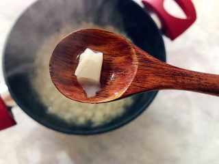 17、春之气息～五彩缤纷猫耳朵,煮五分钟左右，猫耳朵变成透明状即可