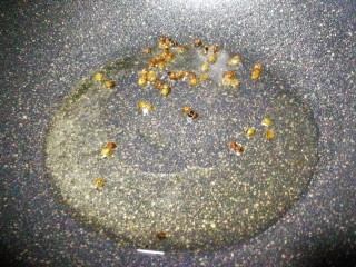 7、酸辣土豆丝,锅内放油放入花椒煸炒出香味,将炸好的花椒捞出。