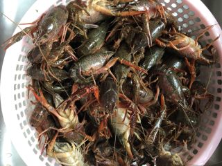 1、红烧小龙虾,龙虾清洗干净，可以加点盐在水里让龙虾吐会水。不用去虾肠，去了之后再烧肉就不紧了！