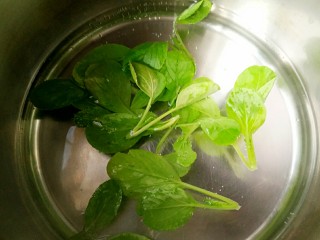 11、什锦祈福虾,青菜入开水焯熟。