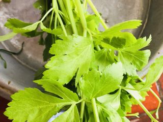 1、芹菜炒猪肝,芹菜去根