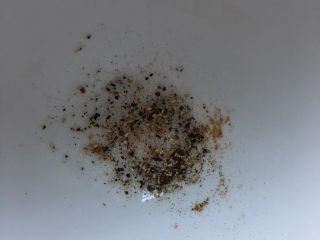 7、早餐鸡蛋灌饼,少许黑胡椒，加入少许面粉