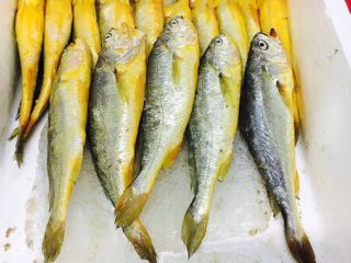1、#感恩节食谱# 香煎小黄鱼,新鲜的小黄花鱼。