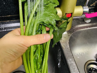 3、猪肝菠菜汤,选了一颗最大的菠菜煮汤，将菠菜洗净；