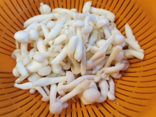 11、家庭版快手烧烤大餐·有肉有菜,白玉菇一包，去根，洗净，攥干