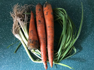 1、青蒜炒胡萝卜,备好食材