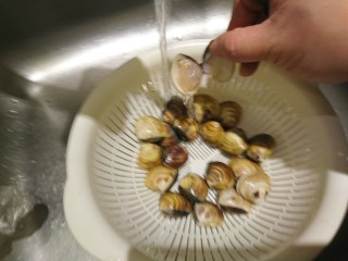 6、蛤蜊鸡汤,清水洗淨並確認蛤蜊新鮮度