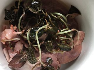 2、金线莲猪心汤,将猪心和金线莲依次放入炖盅里。炖盅要大点,可以多放点水。