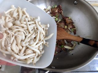 17、玉颜偶染尘世烟➕双椒白玉菇炒酱油肉,转中火，放入白玉菇翻炒均匀