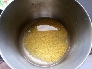 3、小米辽参粥,小米淘洗后浸十分钟开始烧煮，边烧边用筷子搅拌。大约1小时。