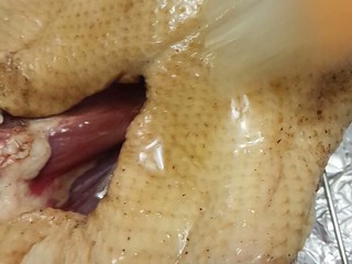 13、家庭自制烤鸭,将蜜水刷在鸭身上，每个角落都要刷均匀