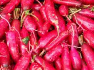 1、韩式白醋泡萝卜,去根去叶，切成条。加盐腌二至四小时出水，倒掉盐水。