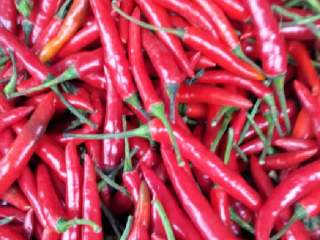 2、韩式白醋泡萝卜,野山椒切成节。