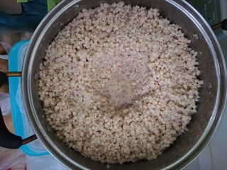 9、酒麸,24小时后就可以打开看看,如果闻到浓浓的酒香味就可以端出来凉着了,如果酒香味不够浓,可以等到36小时后再端出来。时间过久会酸掉的。