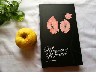 1、砂锅版糖水梨罐头,1、 材料准备好。刀具一套,梨一个。冰糖适量(未拍照。)