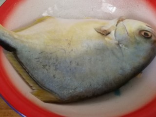 1、红烧鲳鱼焖茄条,鲳鱼洗净开膛备用